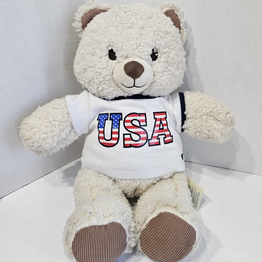 Build A Bear Fleece Teddy